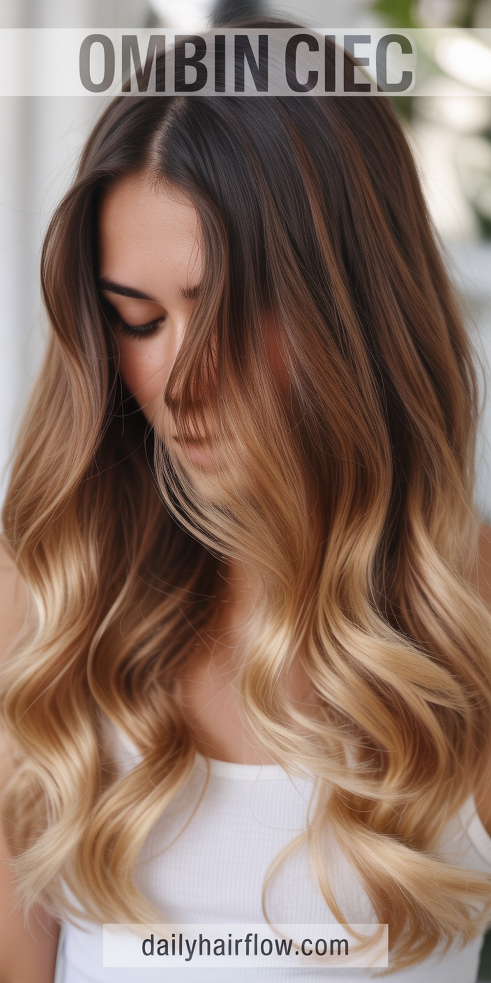 Subtle Ombré from Rich Brown to Toffee Blonde