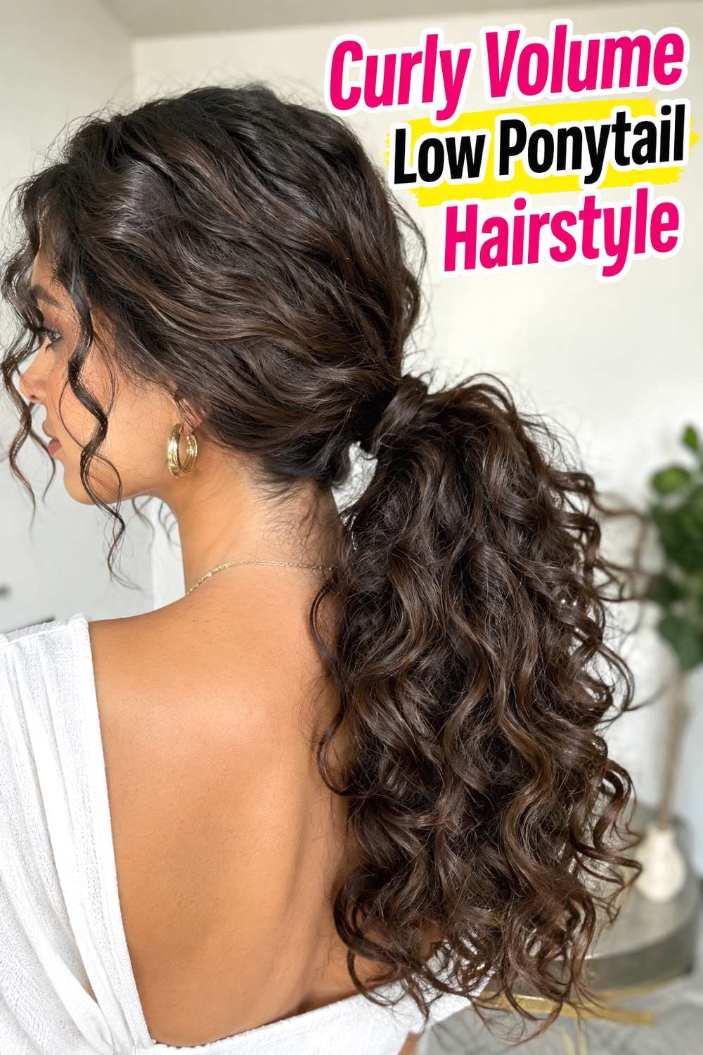 Curly Volume Low Ponytail Hairstyle