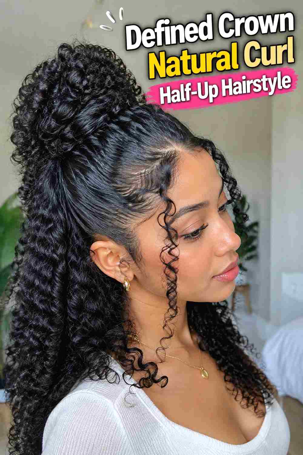 2. Defined Crown Natural Curl Half Up Hairstyle