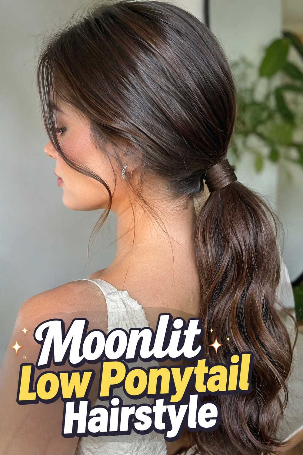 7. Moonlit Low Ponytail Hairstyle