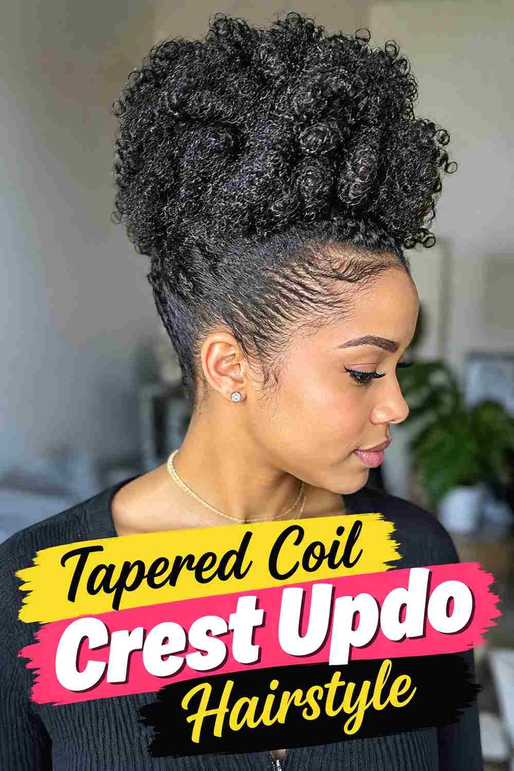 17. Tapered Coil Crest Updo Hairstyle