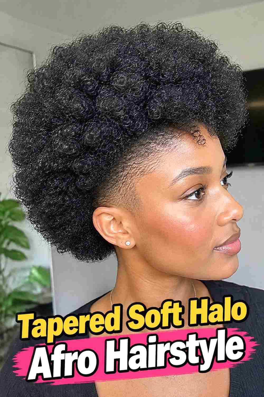 5. Tapered Soft Halo Afro Hairstyle